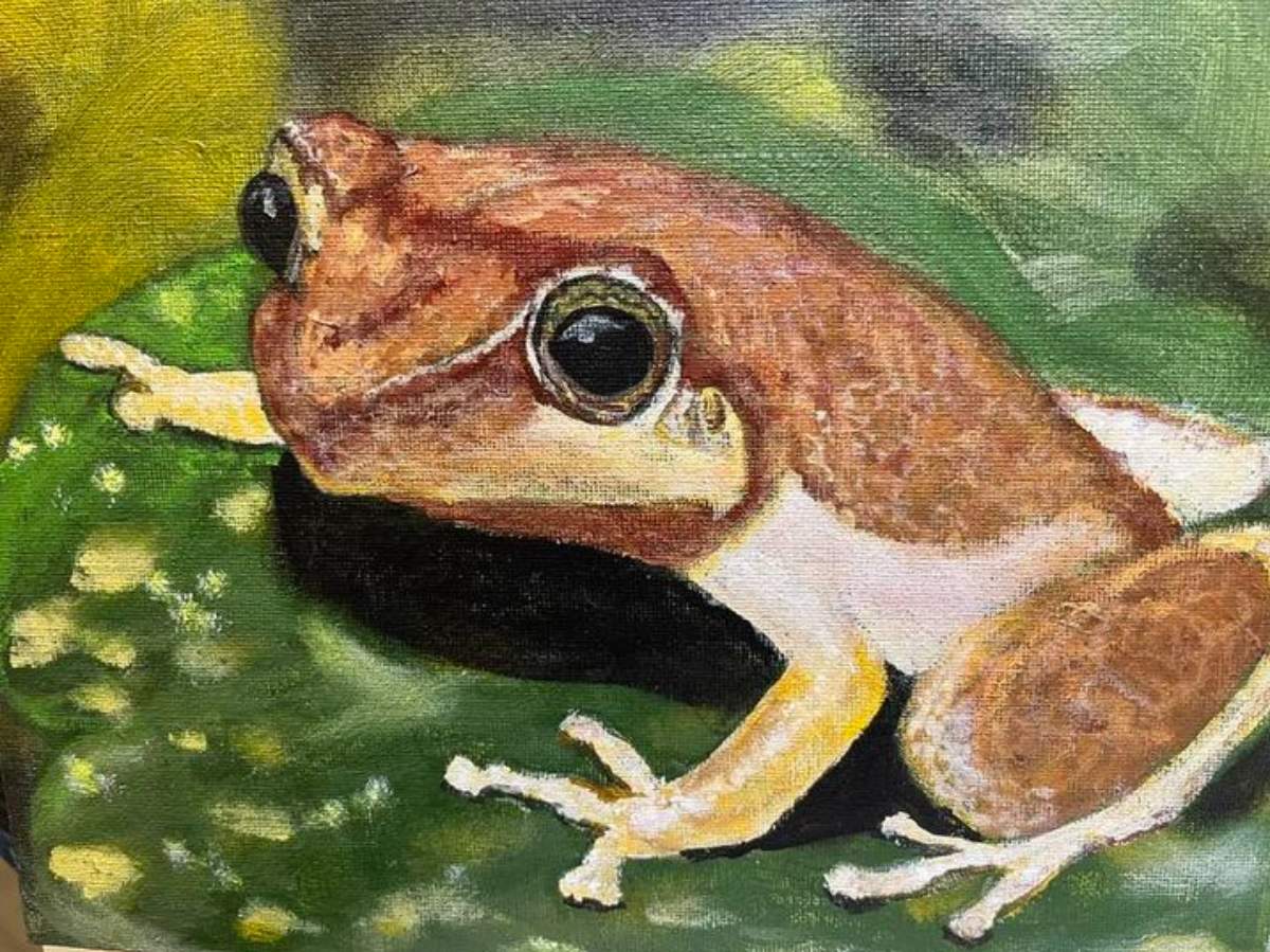 El Coqui