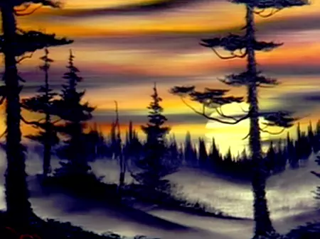 Evergreens at Sunset