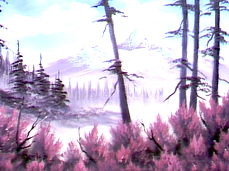 Guest Painters on 'The Joy of Painting' with Bob Ross